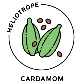 Essential Oil - Cardamom-0