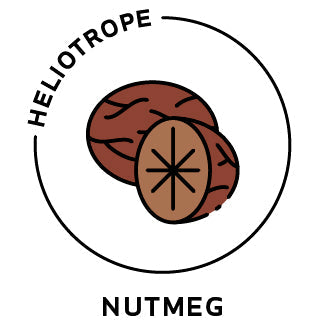 Essential Oil - Nutmeg-0